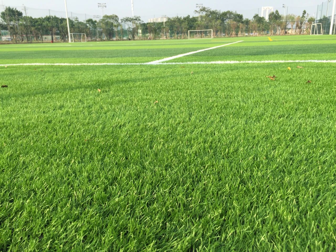 創(chuàng)新不止步，北京天罡新一代光穩(wěn)定劑蟬聯(lián)“榮格技術(shù)創(chuàng)新獎”