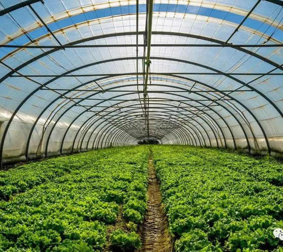 紫外線吸收劑326